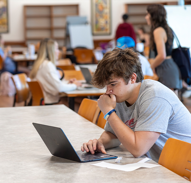 A student surfacing the web on a laptop inside the library.