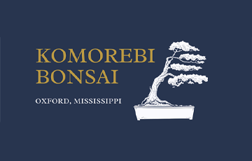  Komorebi Bonsai logo